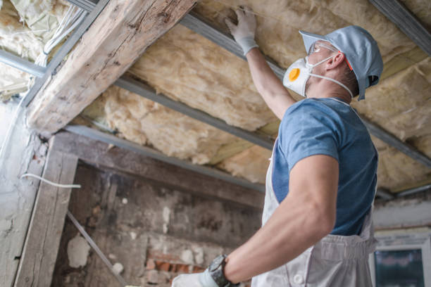 Best Insulation Materials and Products in Pueblo, CO