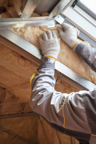 Best Commercial Insulation in Pueblo, CO