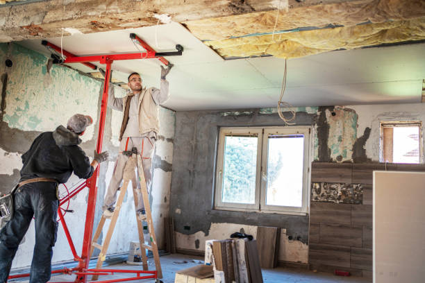 Best Commercial Insulation in Pueblo, CO