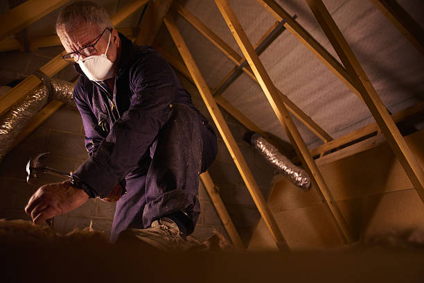 Best Insulation Maintenance and Repair in Pueblo, CO